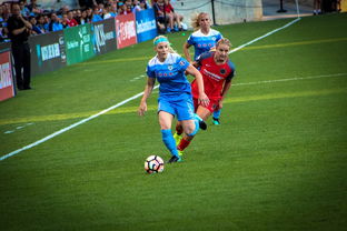 米兰体育在线-中国篮球职业联赛俱乐部财务风险管理，篮球俱乐部财务制度